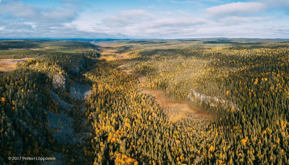 Syysvärit Korouomassa, Suomessa | Ilmakuvat