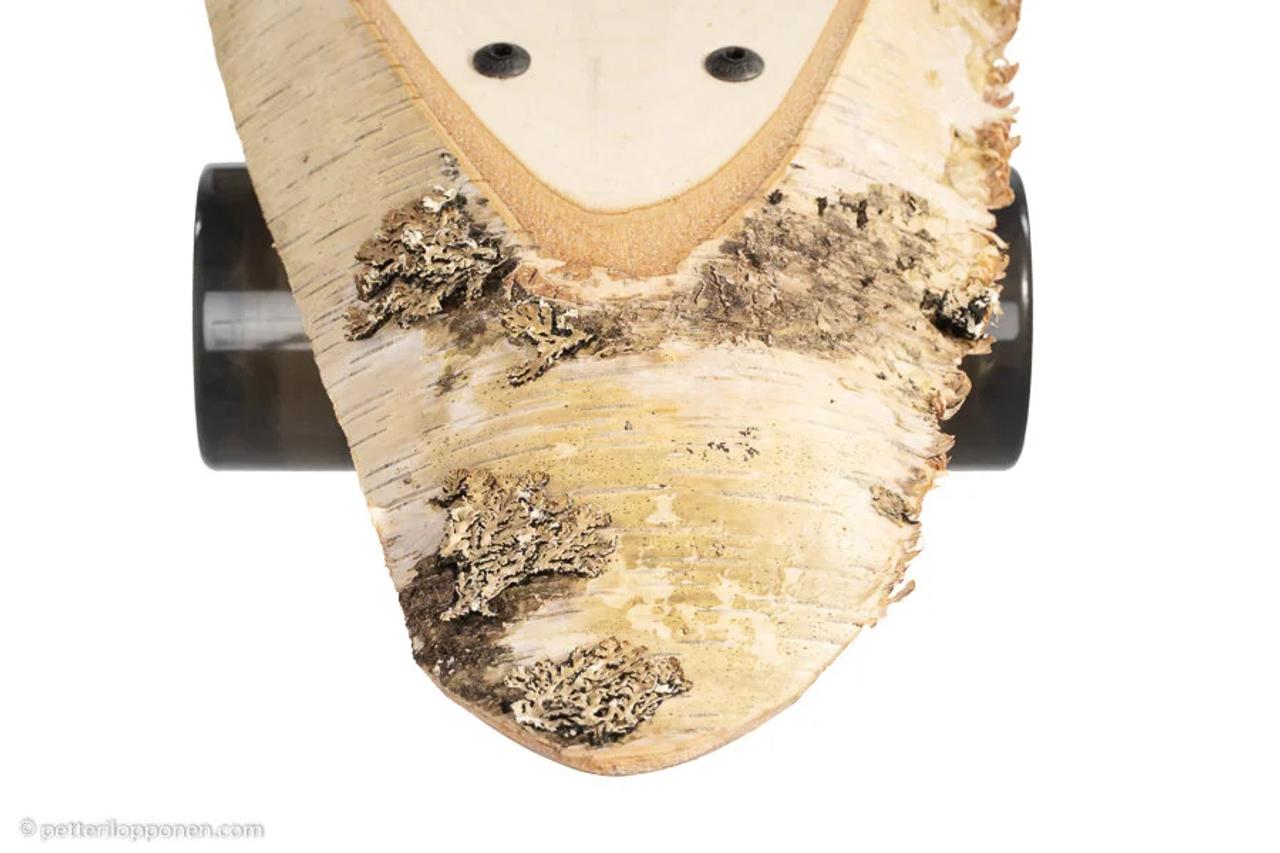  Tuotekuvaus raaka-rullalauta Jallaboard 