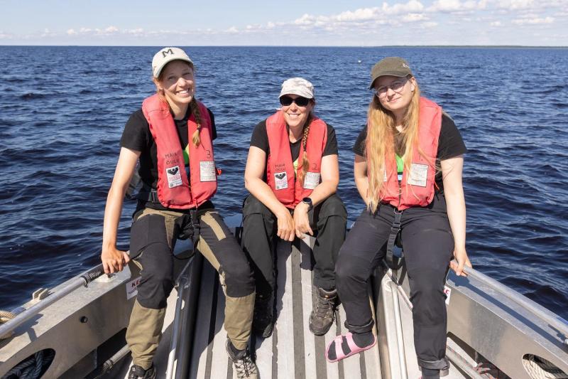 Meribiologi viihtyy pinnan alla – Videokuvaus ja valokuvaus artikkeliin