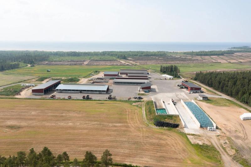 Atrialle kuvia perhetilatarinoiden yhteyteen Pohjois-Pohjanmaalta