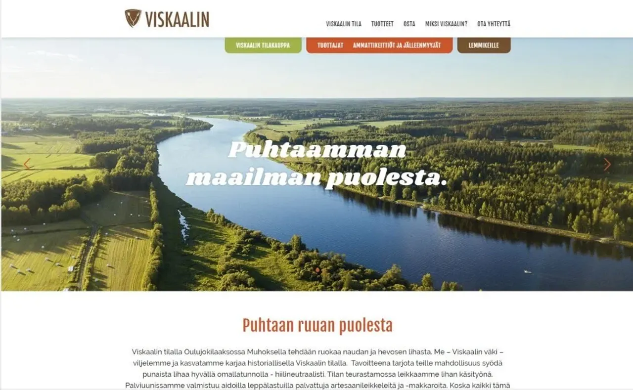 Oulujoki maisemaa