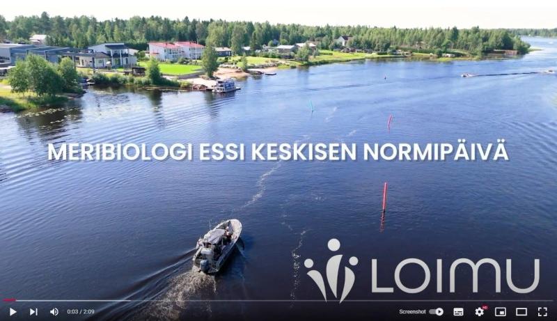 Meribiologi viihtyy pinnan alla – Videokuvaus ja valokuvaus artikkeliin