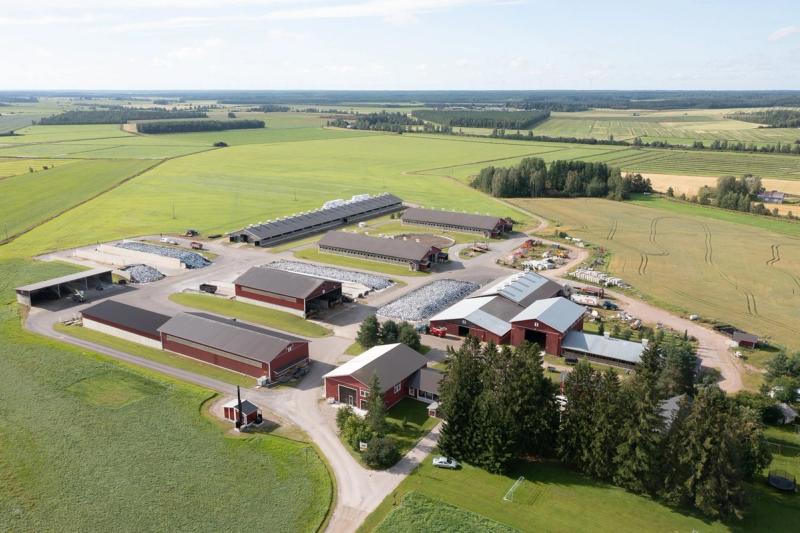 Atrialle kuvia perhetilatarinoiden yhteyteen Pohjois-Pohjanmaalta