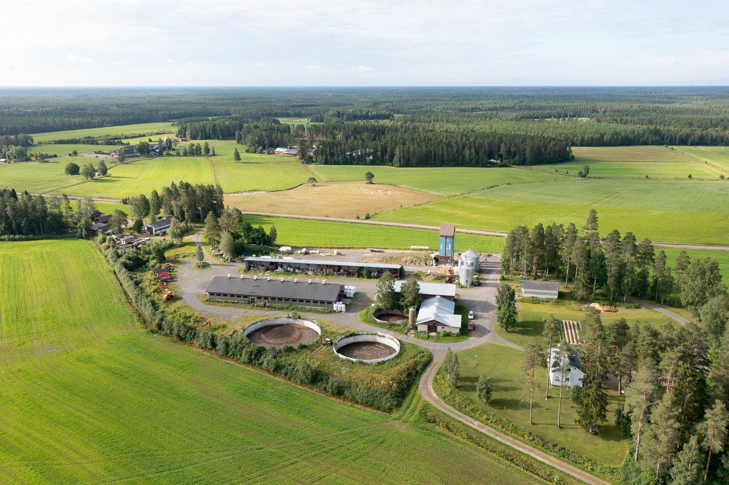 Photography for Atria's Family Farm Stories from Northern Ostrobothnia