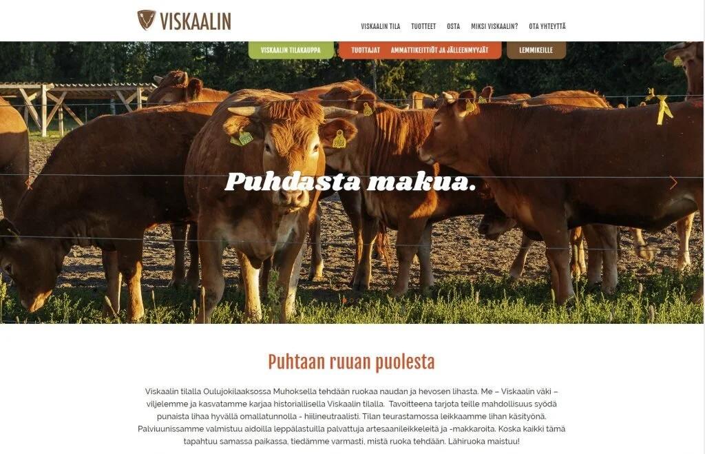  Viskaalin lehmät 