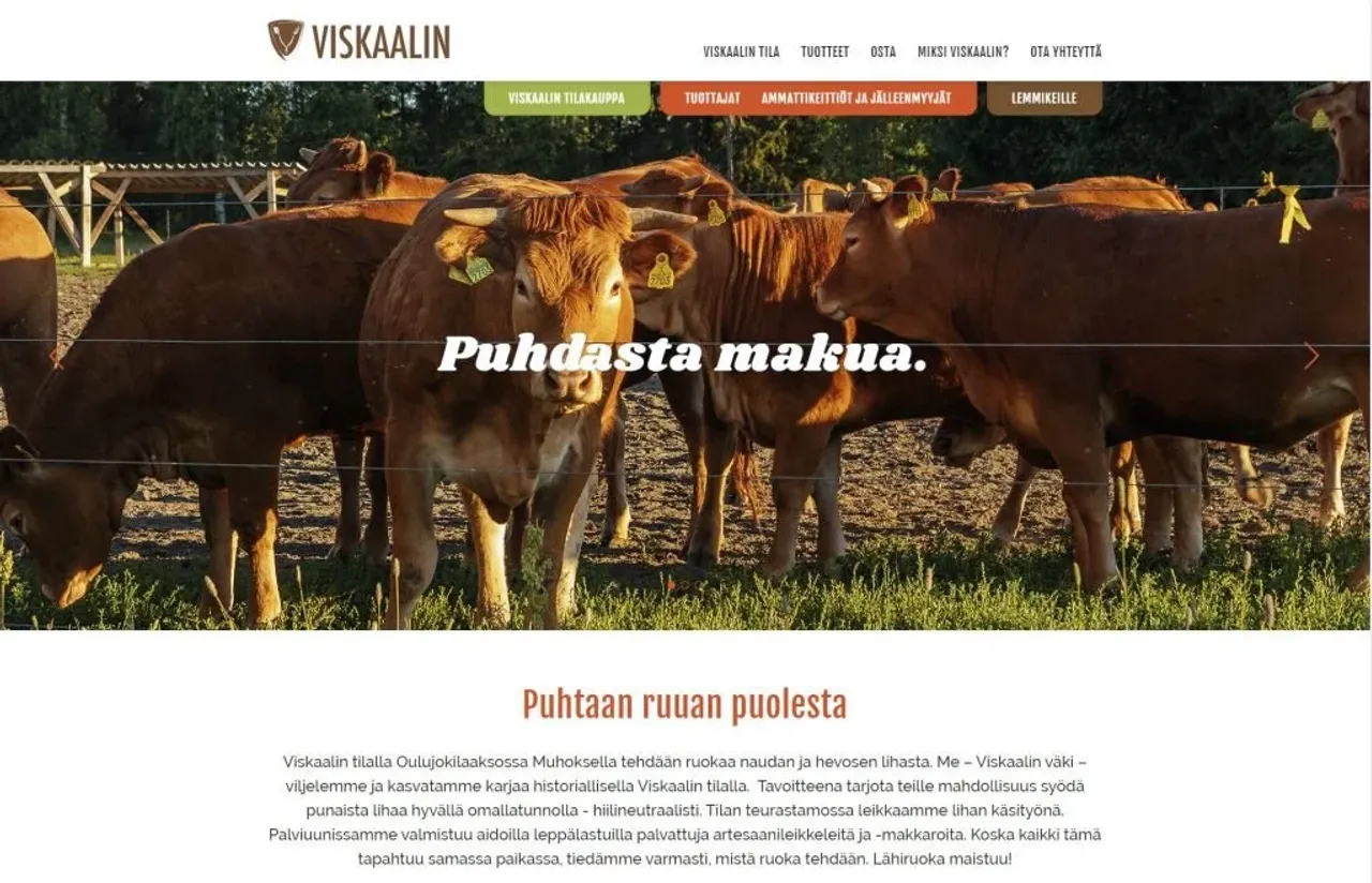 Viskaalin lehmät
