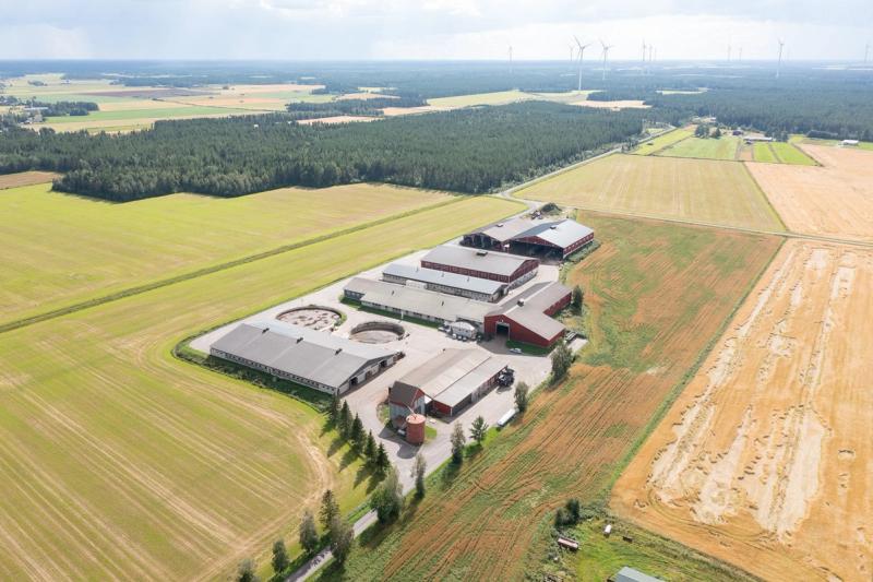 Atrialle kuvia perhetilatarinoiden yhteyteen Pohjois-Pohjanmaalta