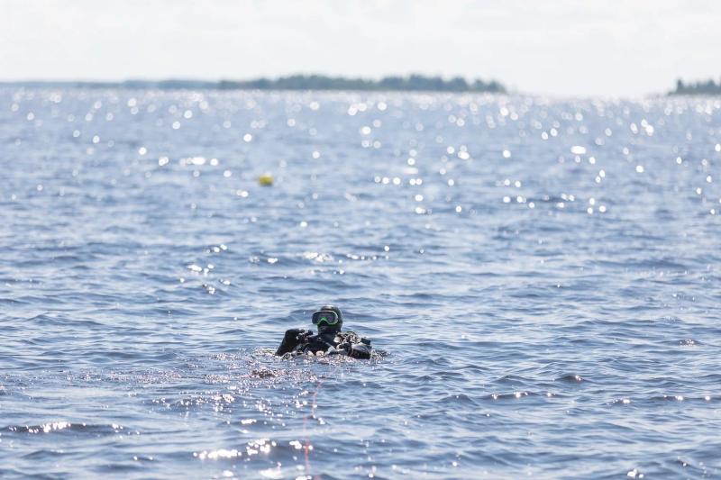 Meribiologi viihtyy pinnan alla – Videokuvaus ja valokuvaus artikkeliin