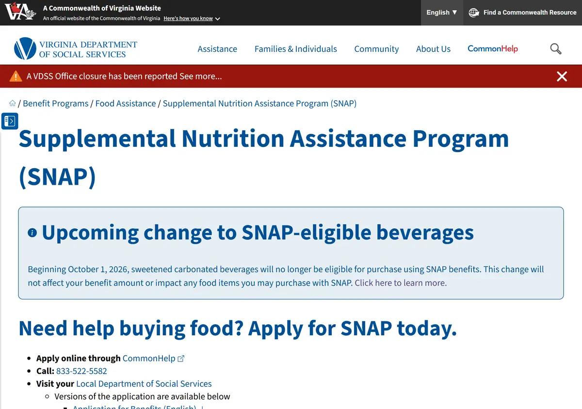 The Virginia DSS SNAP page with current income limits and allotments.