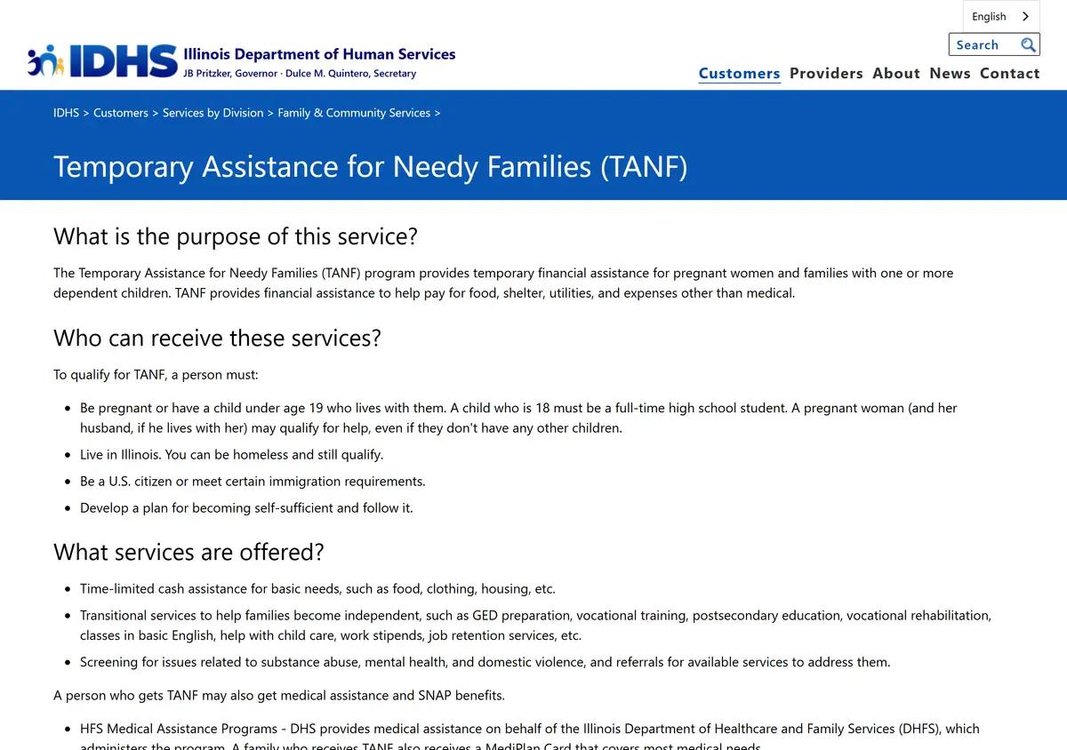 The Illinois DHS TANF program page.