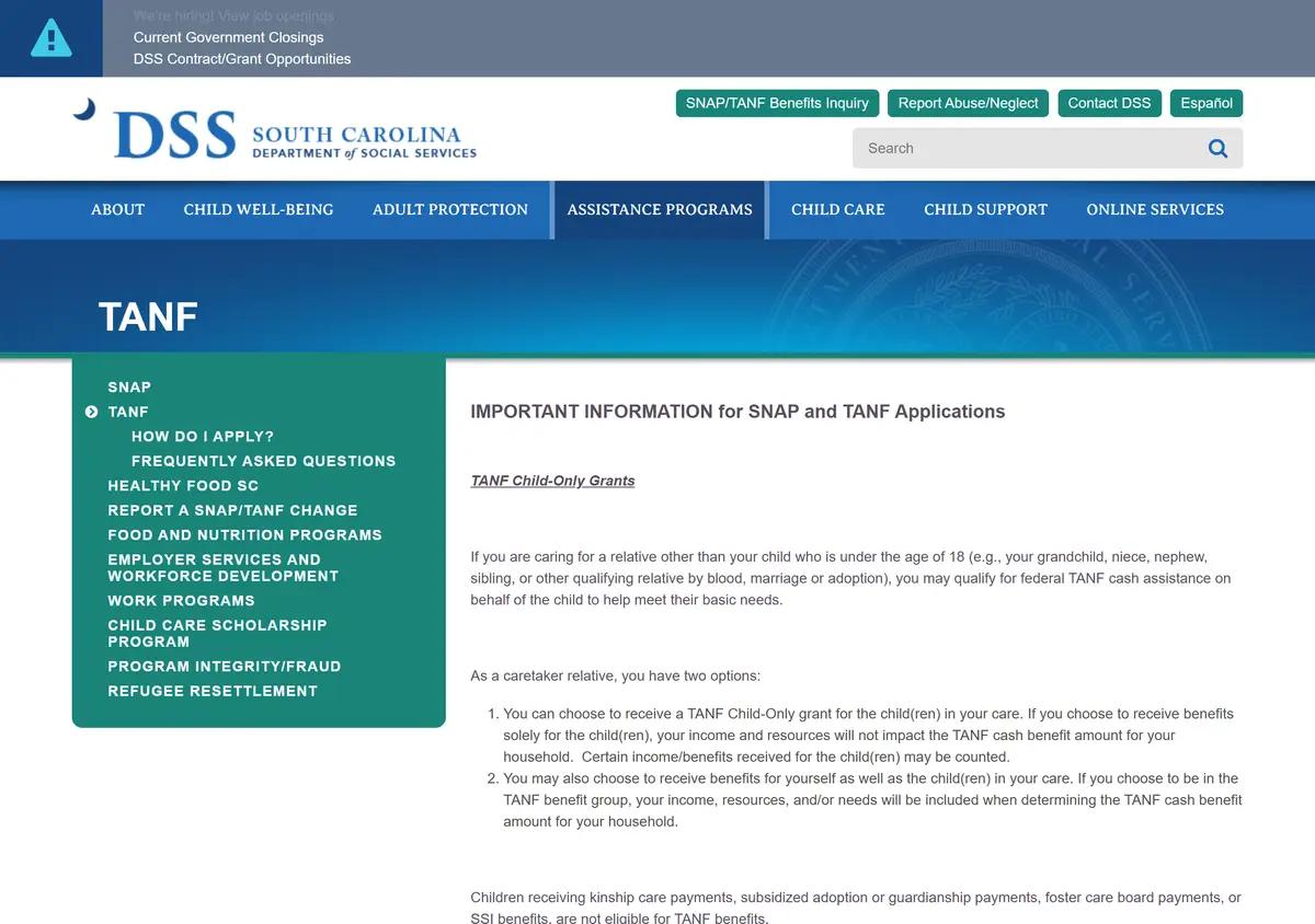 The South Carolina DSS Family Independence (TANF) page.