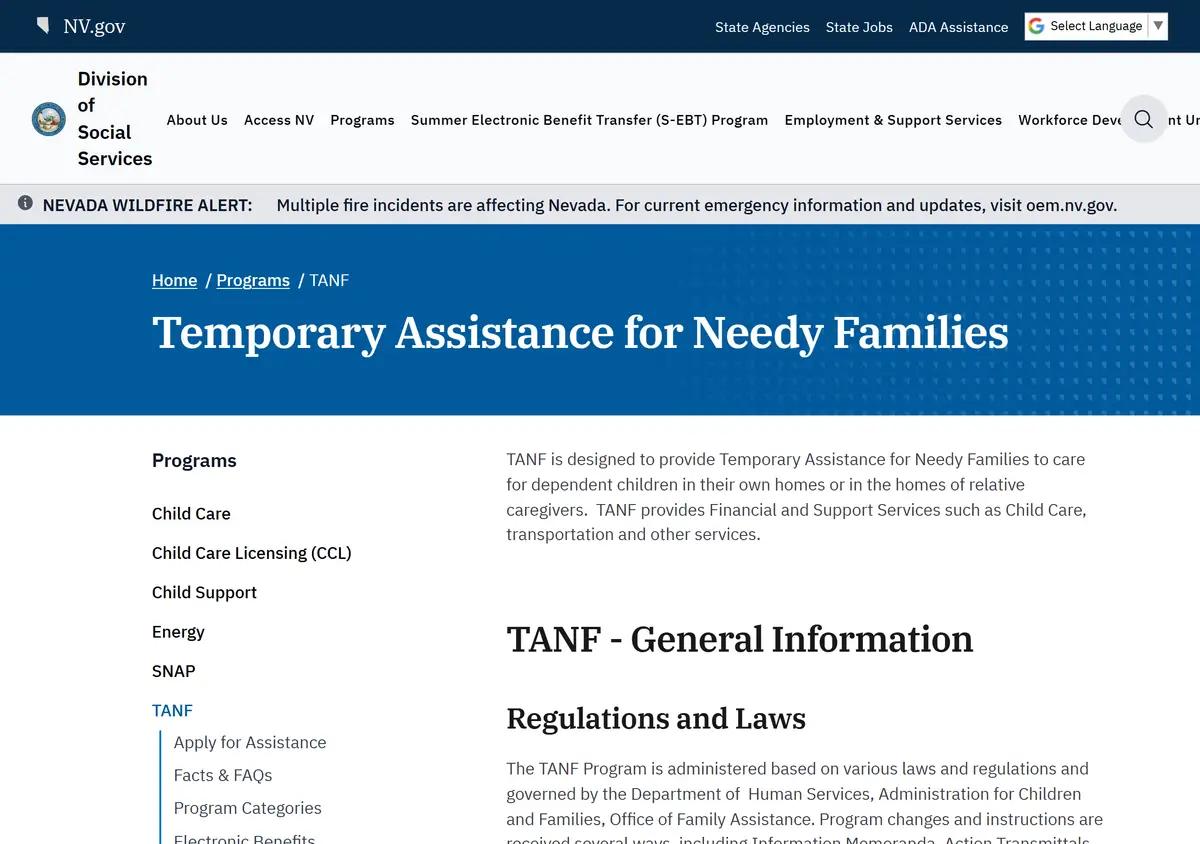 The Nevada Division of Social Services TANF page.