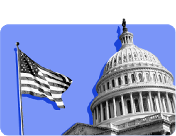 image of American flag and Capitol rotunda