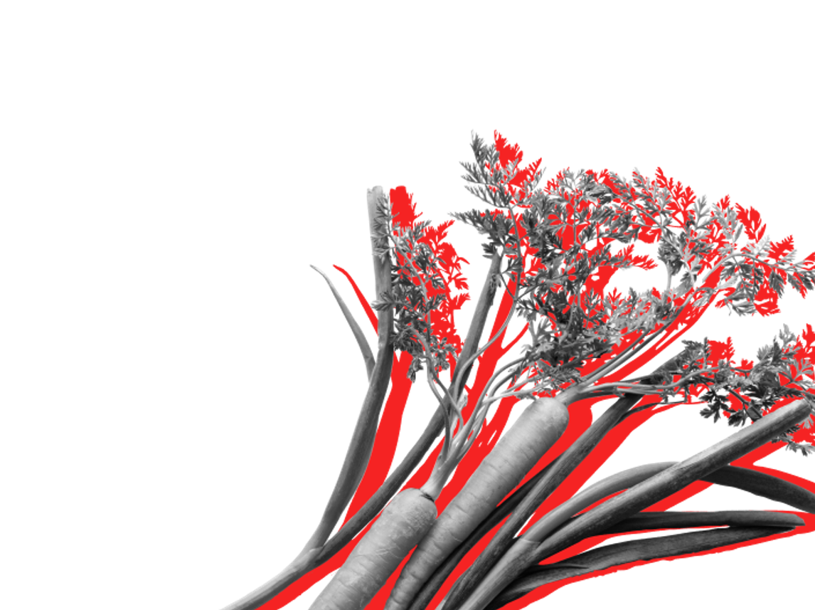 Image of scallion tops and the top parts of carrots