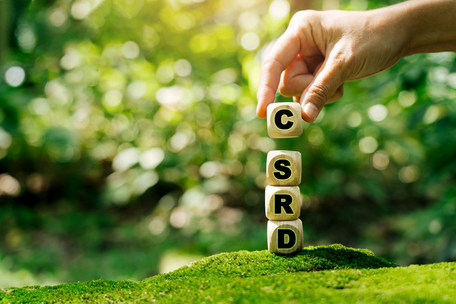 CSRD image with greenery on the background