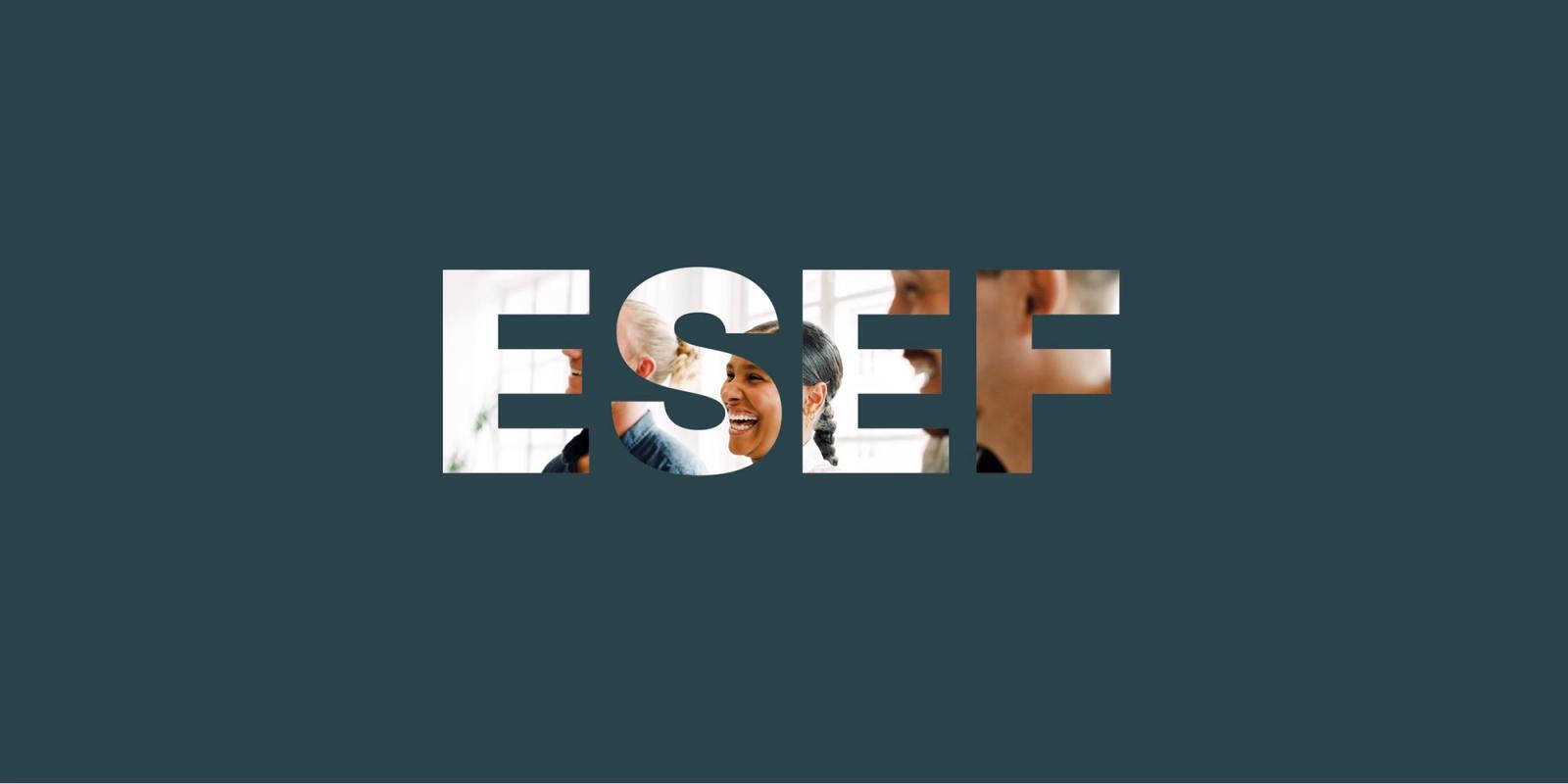 esef reports