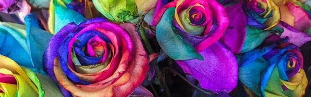 Mother's Day Flowers