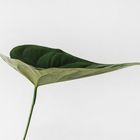 Blomsterlandet flower arrangement