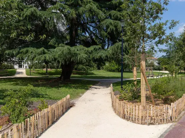 Rue calme bordée d’arbres à Caudéran
