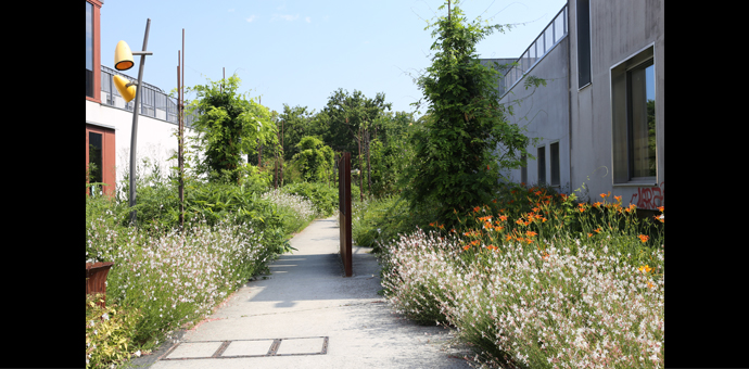 Rue résidentielle d’Eysines bordée de végétation