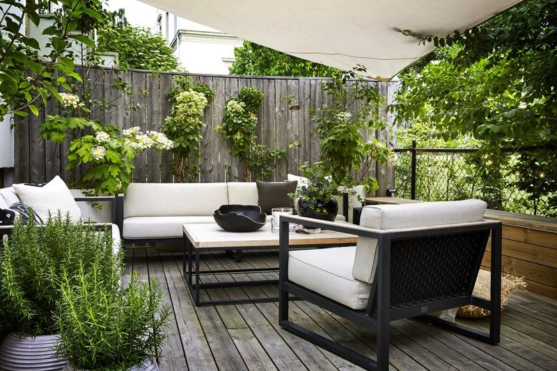 Jardin verdoyant avec terrasse aménagée