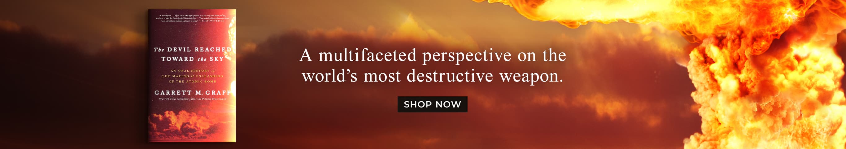 A multifaceted perspective on the world's most destructive weapon