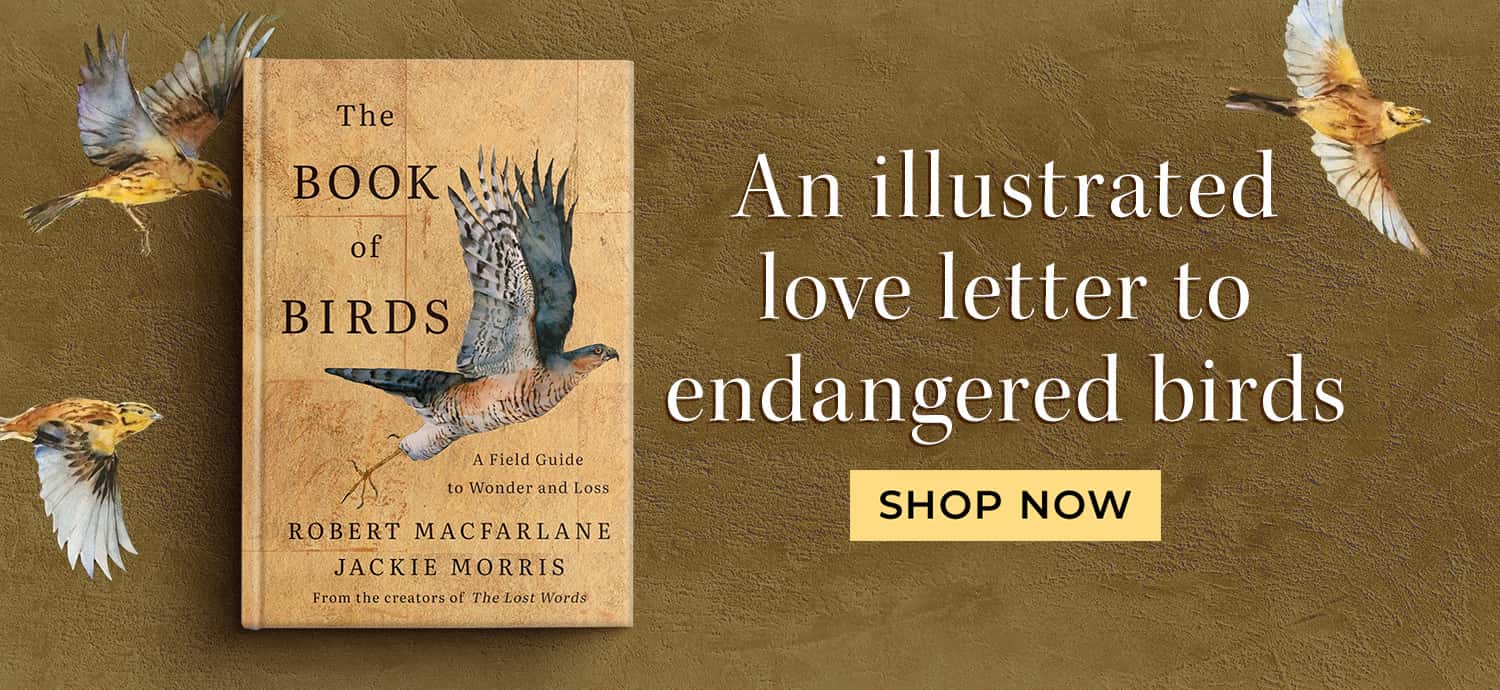 An Illustrated Love Letter to Endangered Birds - The Book of Birds - Shop Now