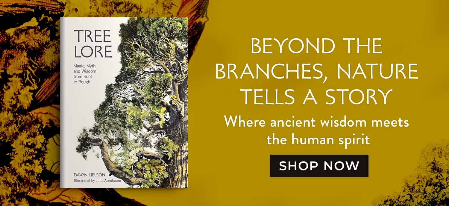 Beyond the Branches, Nature Tells a Story - Where ancient wisdom meets the human spirit - Tree Lore - Shop Now 