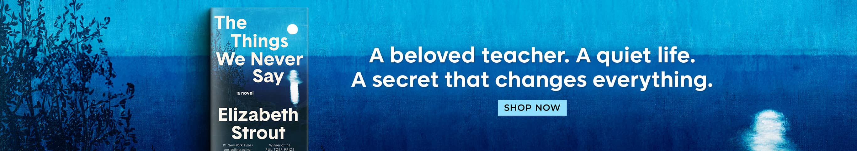 The Things We Never Say A Beloeved teacher. A Quiet Life. A Secret that changes everything. Shop Now