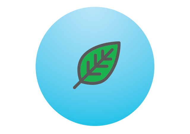 leaf