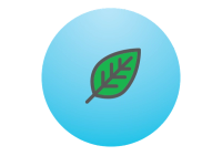 leaf