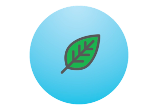 leaf