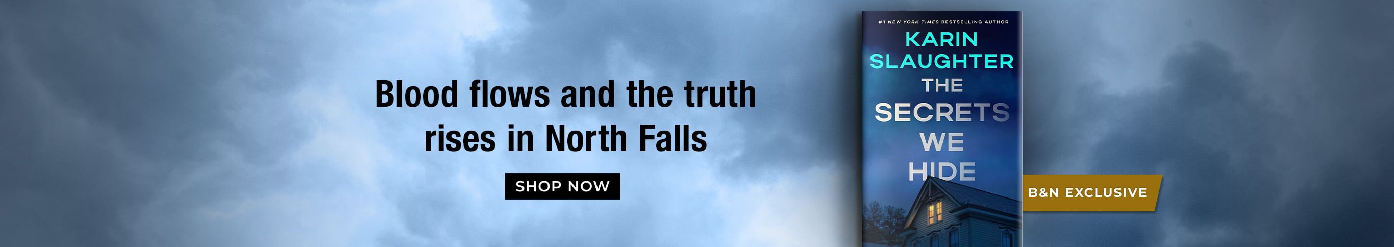 B&N Exclusive | The Secrets We Hide by Karin Slaughter | Blood flows and the truth rises in North Falls | Shop Now