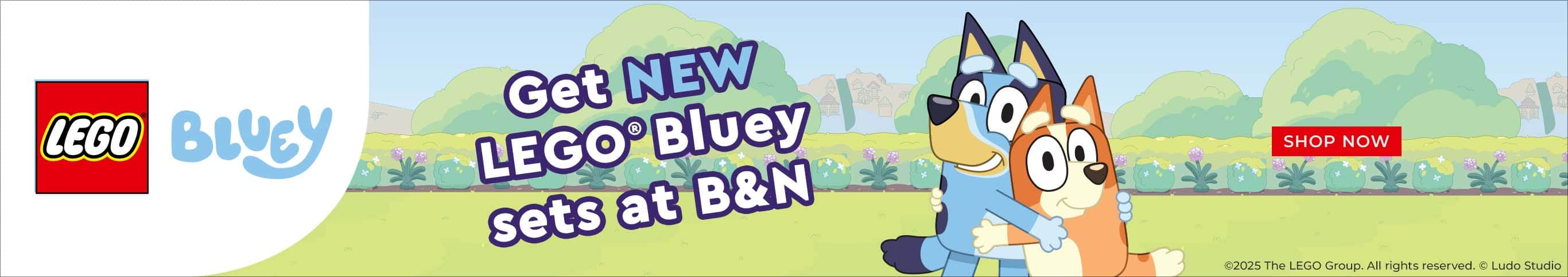 LEGO Bluey Sets at B&N