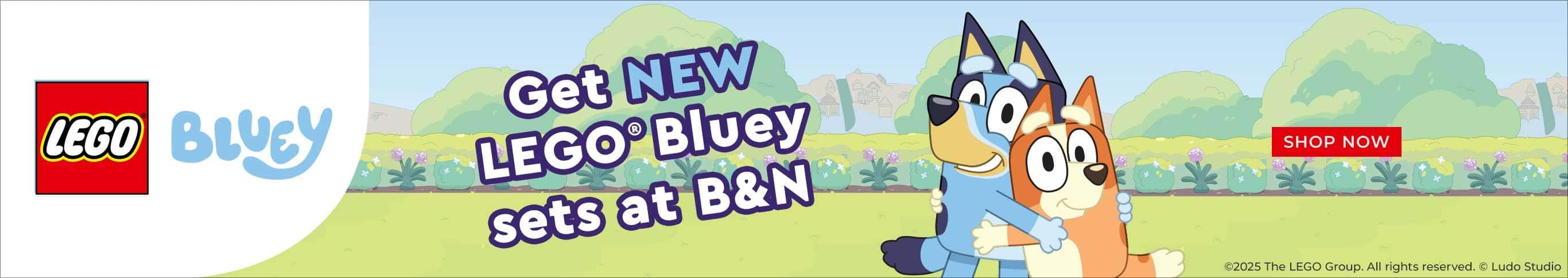 LEGO Bluey Sets at B&N