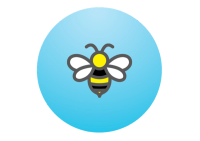 bee