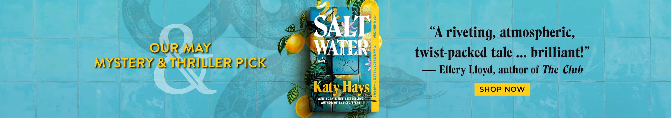 Our May Mystery & Thriller Pick. Salt Water. "A riveting, atmospheric, twist-packed tale ... brilliant!" - Ellery Lloyd, author of The Club. Shop Now.