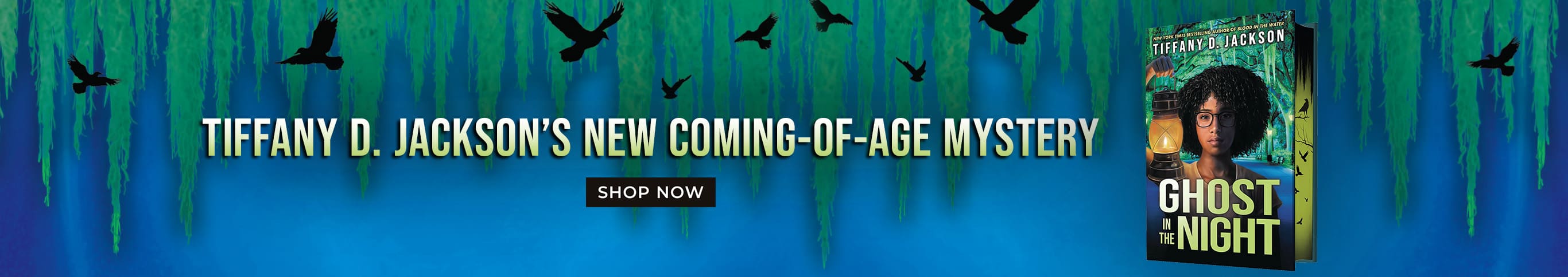 Ghost in the Night. Tiffany D. Jackson's New coming-of-age mystery. Shop Now.