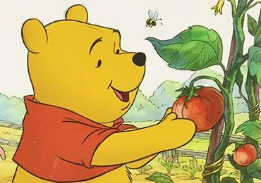 Winnie-the-Pooh