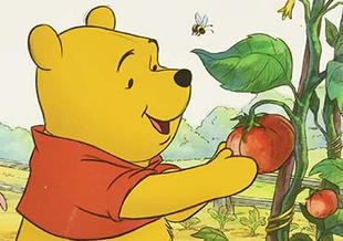 Winnie-the-Pooh