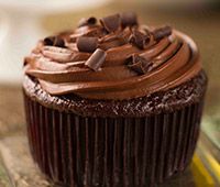 Chocolate Cupcake
