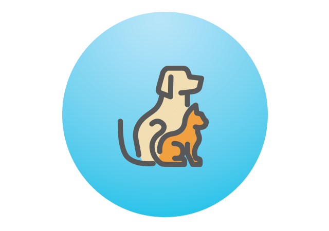 dog and cat