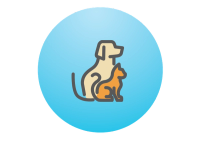 dog and cat
