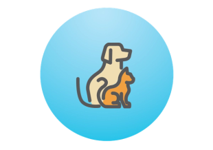 dog and cat