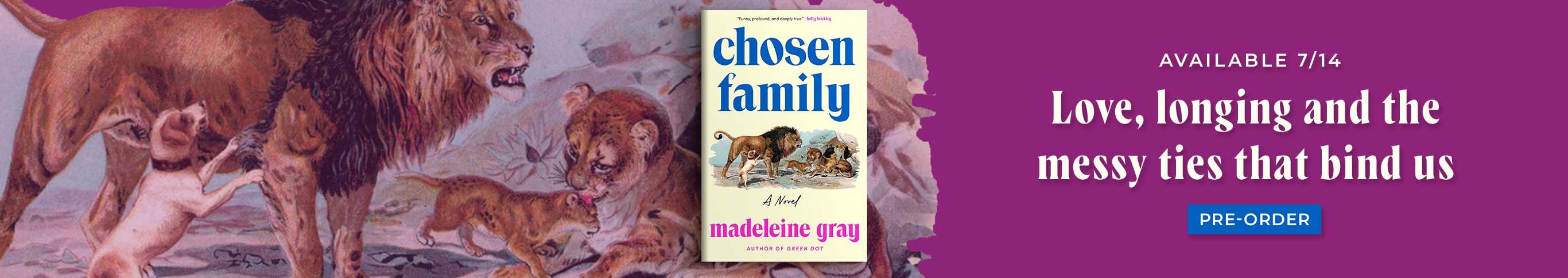 Chosen Family by Madeleine Gray | Available 7/14 Love, longing and the messy ties that bind us | Pre-Order
