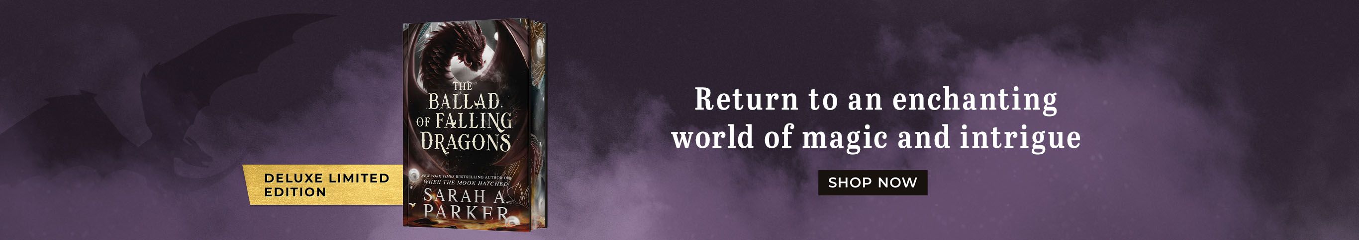The Ballad of Falling Dragons Return to an Enchanting World of magic and intrigue