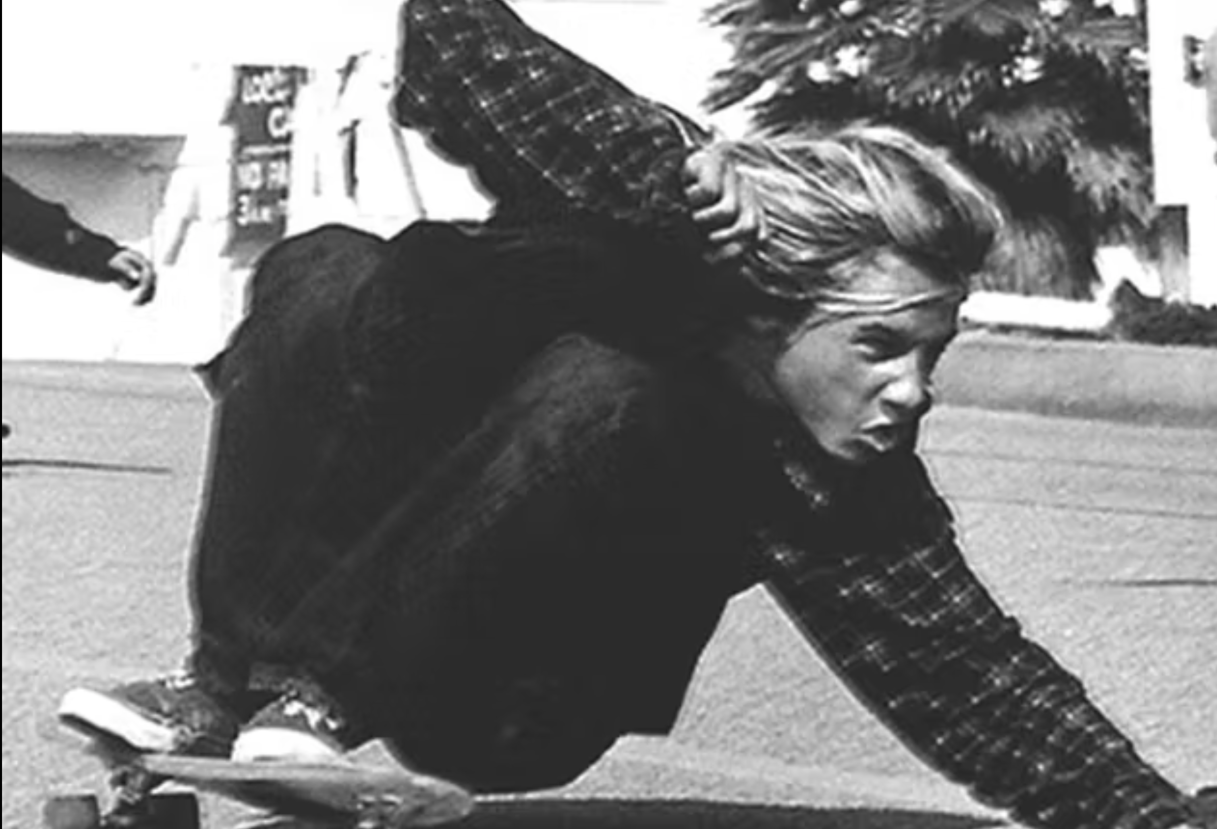 Dogtown and Z-Boys / Documentary Feature / Stacy Peralta / Writer / Director / Agi Orsi Productions, Vans Chelsea Poster