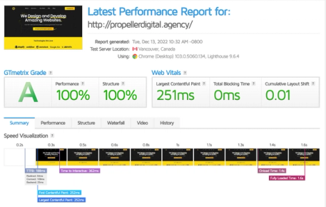 A speed audit of our own website, showing the max score and a super fast loading time.