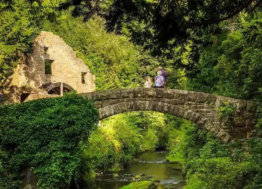 Photo of Jesmond Dene Park
