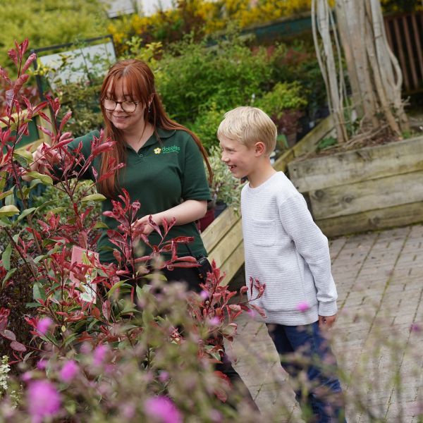 Little Seedlings Free September Workshop – Autumn Colours at Dobbies Birtley
